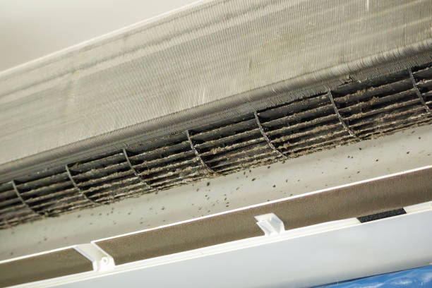 Best Affordable Duct Cleaning Services  in Santa Rosa, CA